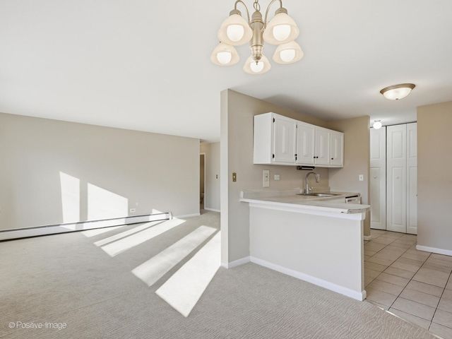 920 E Old Willow Road 203, Prospect Heights, IL 60070