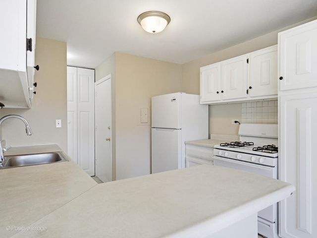 920 E Old Willow Road 203, Prospect Heights, IL 60070