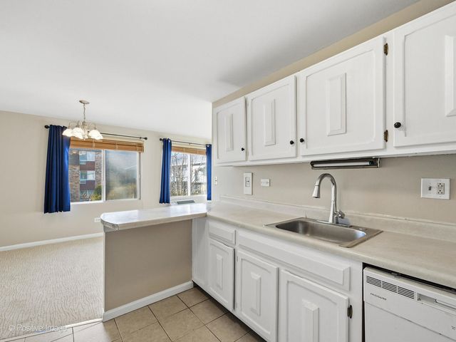 920 E Old Willow Road 203, Prospect Heights, IL 60070