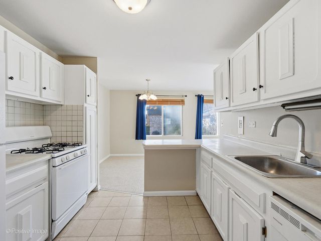 920 E Old Willow Road 203, Prospect Heights, IL 60070