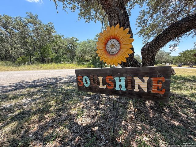 84 mountain laurel, Concan, TX 78838