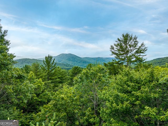 51 Hightower Trail, Hiawassee, GA 30546