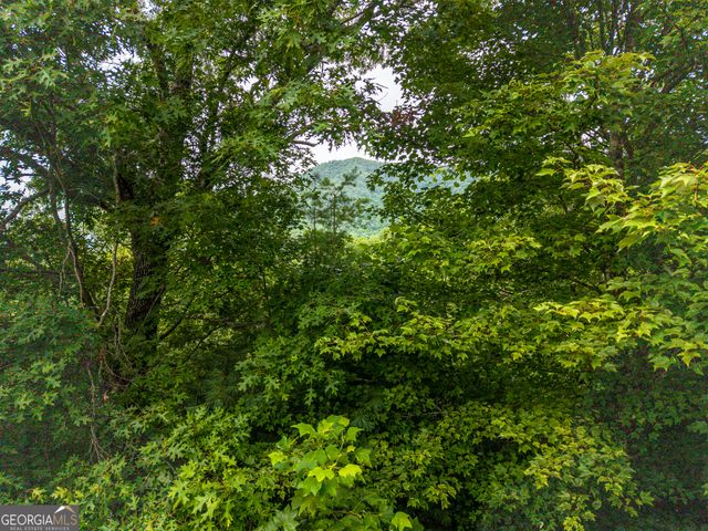 51 Hightower Trail, Hiawassee, GA 30546