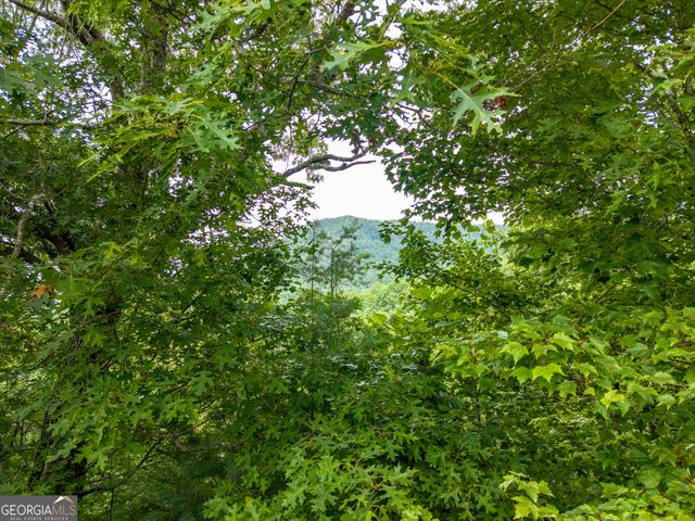 51 Hightower Trail, Hiawassee, GA 30546