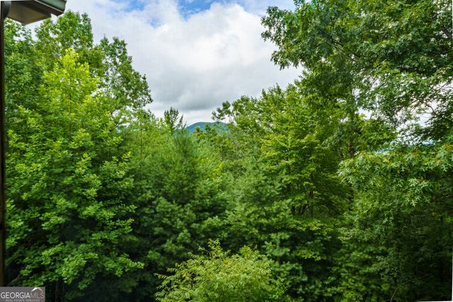 51 Hightower Trail, Hiawassee, GA 30546