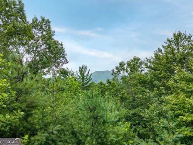51 Hightower Trail, Hiawassee, GA 30546