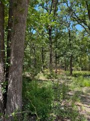 316 Sandy Lynn, West Tawakoni, TX 75474