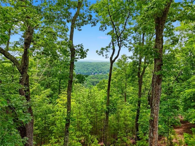 193 Ponderosa Lane, Waleska, GA 30183
