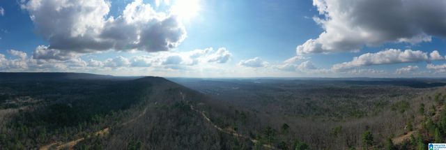 3717 SPRINGSTONE TRAIL, Leeds, AL 35094