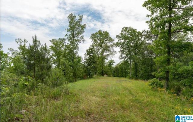 3717 SPRINGSTONE TRAIL, Leeds, AL 35094
