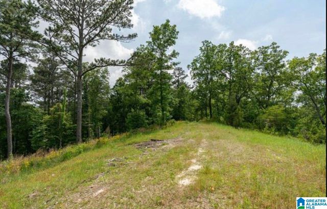 3717 SPRINGSTONE TRAIL, Leeds, AL 35094