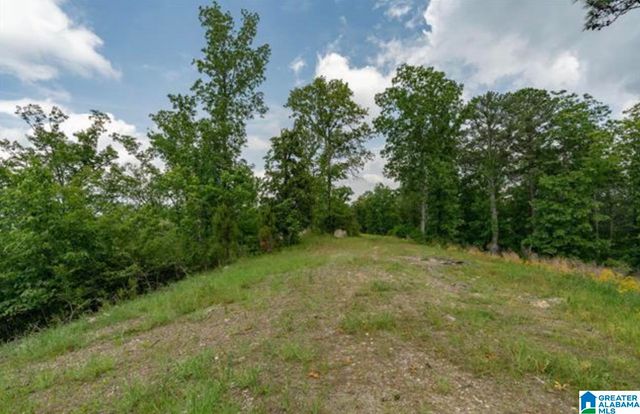 3717 SPRINGSTONE TRAIL, Leeds, AL 35094