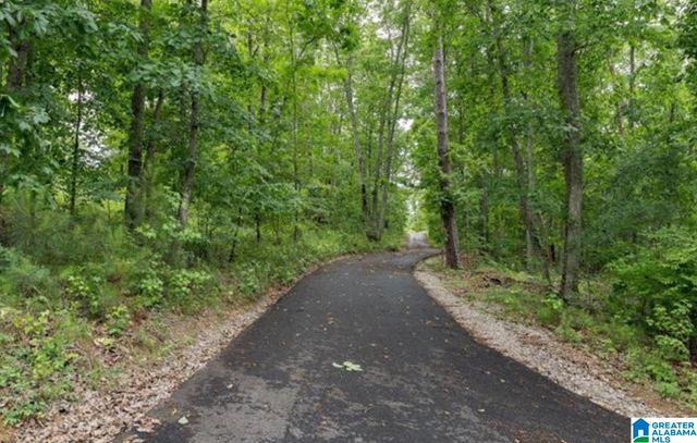 3717 SPRINGSTONE TRAIL, Leeds, AL 35094