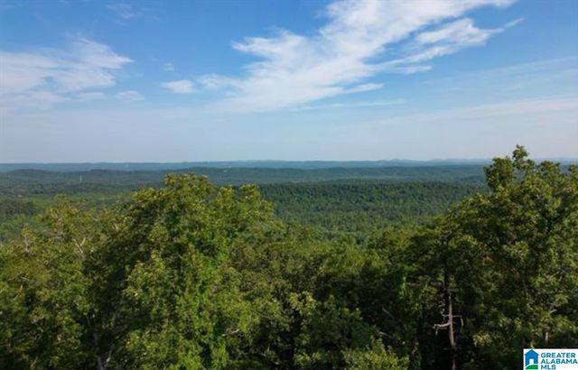 3717 SPRINGSTONE TRAIL, Leeds, AL 35094