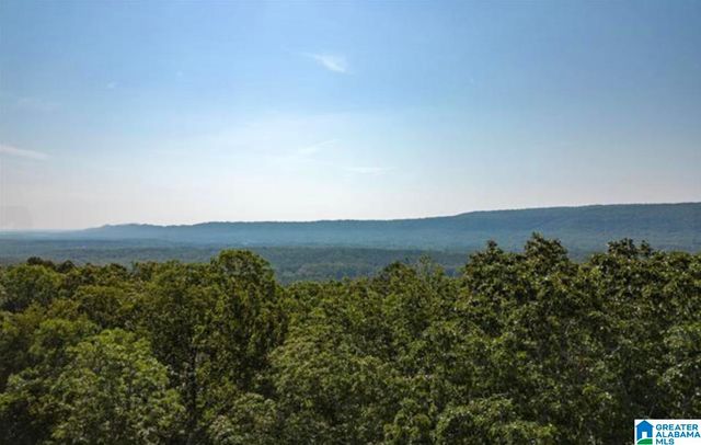 3717 SPRINGSTONE TRAIL, Leeds, AL 35094