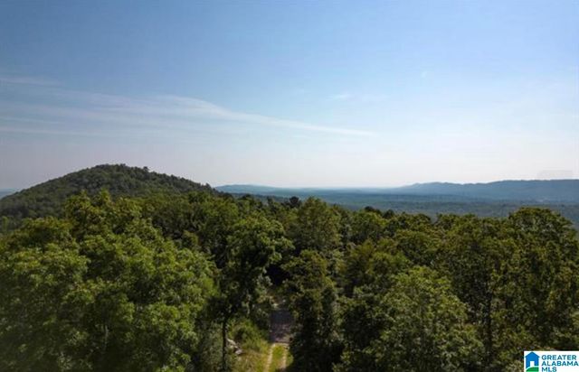 3717 SPRINGSTONE TRAIL, Leeds, AL 35094