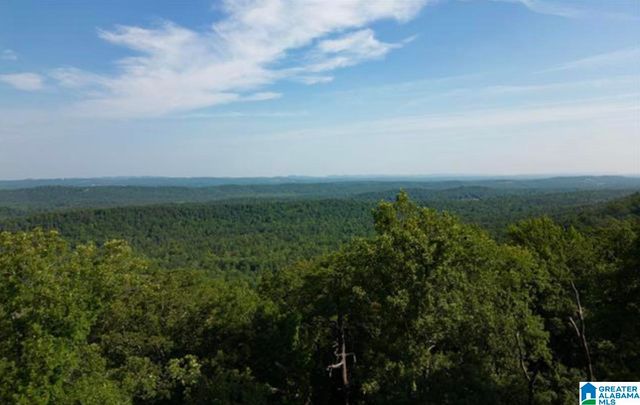 3717 SPRINGSTONE TRAIL, Leeds, AL 35094