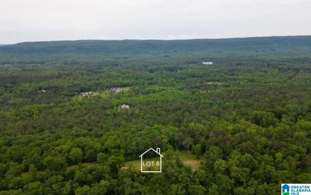 3717 SPRINGSTONE TRAIL, Leeds, AL 35094