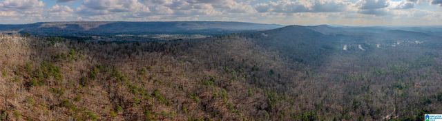 3717 SPRINGSTONE TRAIL, Leeds, AL 35094