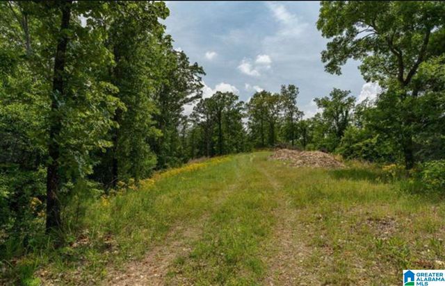 3717 SPRINGSTONE TRAIL, Leeds, AL 35094