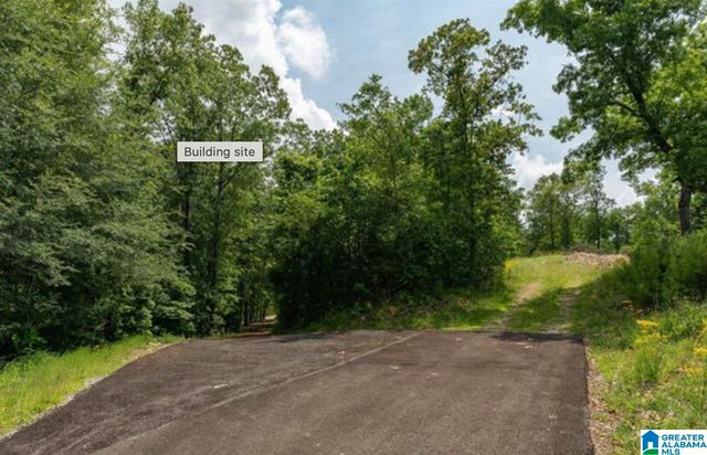 3717 SPRINGSTONE TRAIL, Leeds, AL 35094