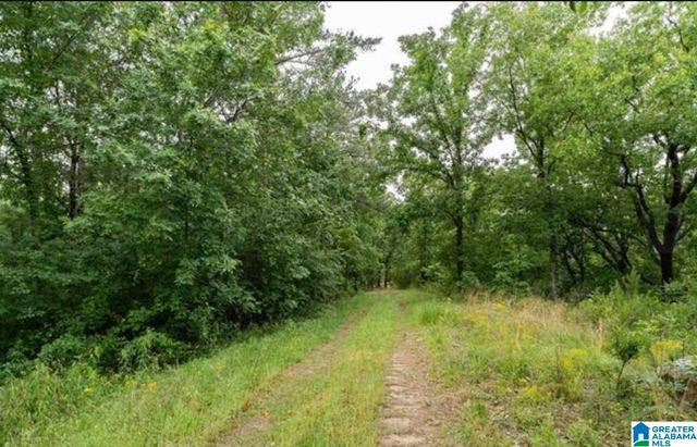 3717 SPRINGSTONE TRAIL, Leeds, AL 35094