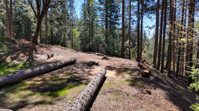1961 Caprine Hill Trl, Pollock Pines, CA 95726
