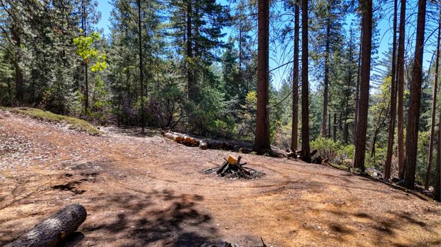 1961 Caprine Hill Trl, Pollock Pines, CA 95726