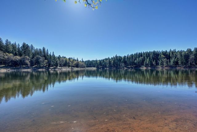 1961 Caprine Hill Trl, Pollock Pines, CA 95726