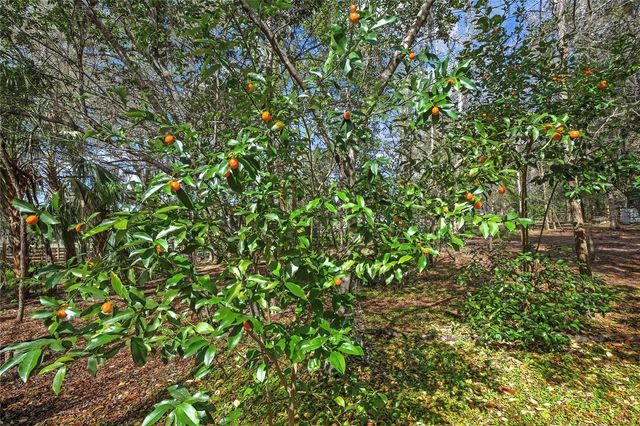 13021 KITE ROAD, Weeki Wachee, FL 34614