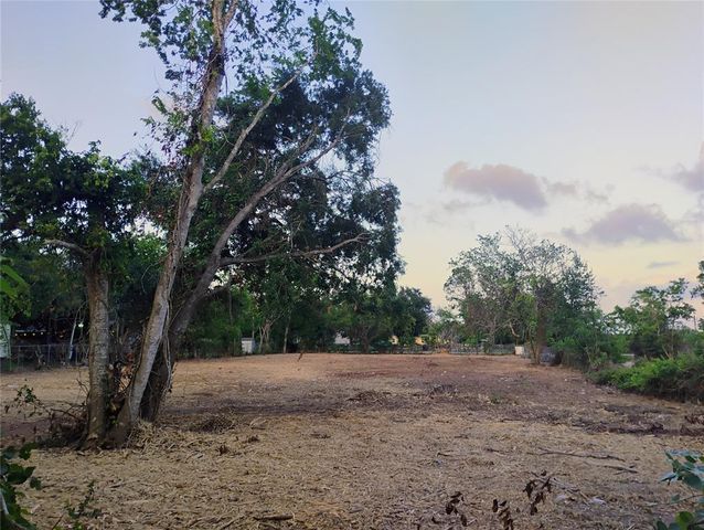 0 Kansas Street, Fresno, TX 77545