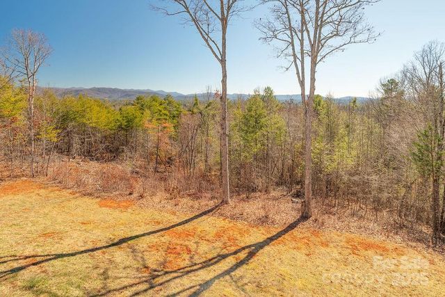 61 Buckle Ridge, Weaverville, NC 28787