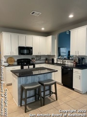 11622 SWEET PEA RUN, San Antonio, TX 78245