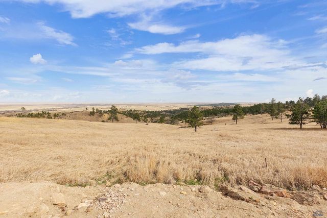 14450 EDGEWOOD PLACE, Piedmont, SD 57769