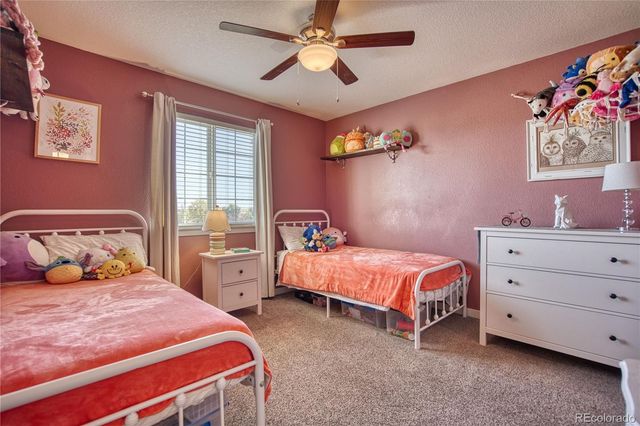 16515 Umpire Court, Hudson, CO 80642