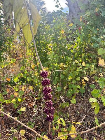 3463 CABARET STREET, Port Charlotte, FL 33948