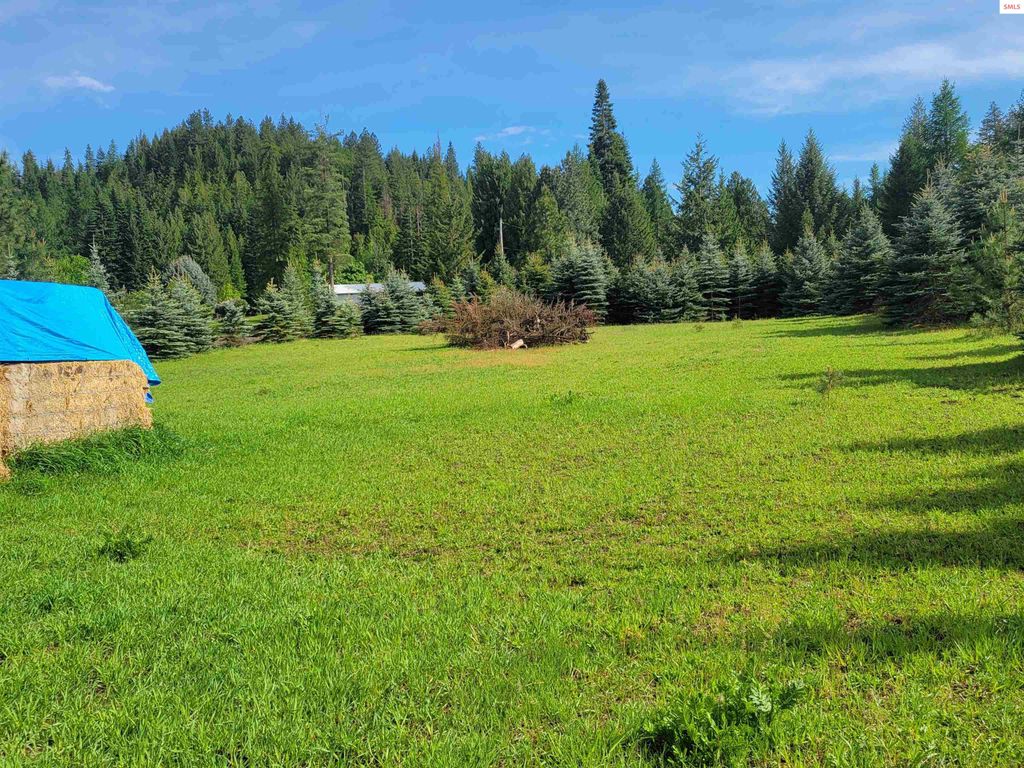 6337 McCall St., Bonners Ferry, ID 83805 photo 44