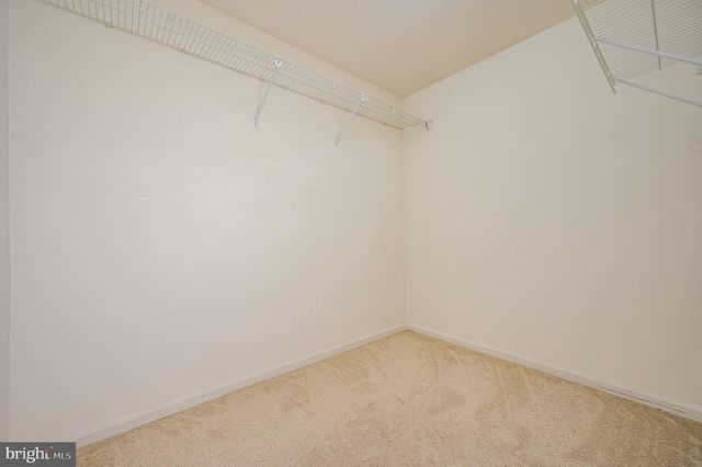 12921 FREESTONE CT, Woodbridge, VA 22192