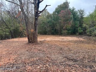 250 Queen Anne Lane, Jackson, MS 39209