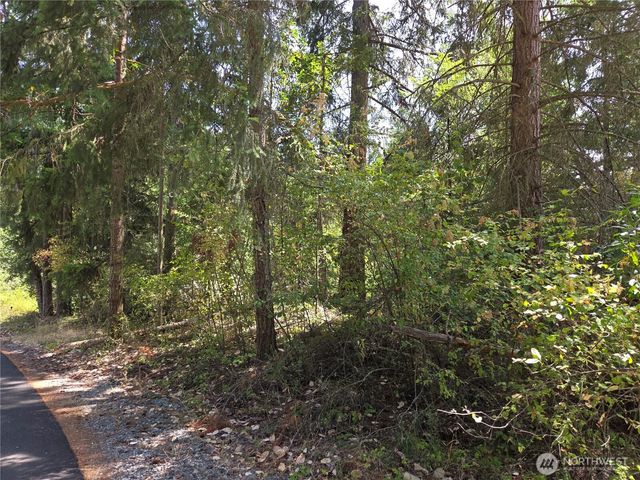 22137 Clear Lake Boulevard SE, Yelm, WA 98597