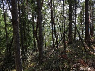 22137 Clear Lake Boulevard SE, Yelm, WA 98597