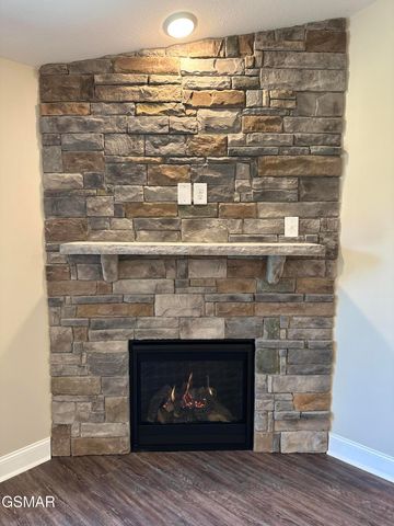 645 Snowflower Circle, Pigeon Forge, TN 37863