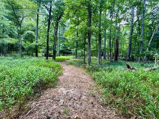 2133 Holly Trail E, Holly Lake Ranch, TX 75765