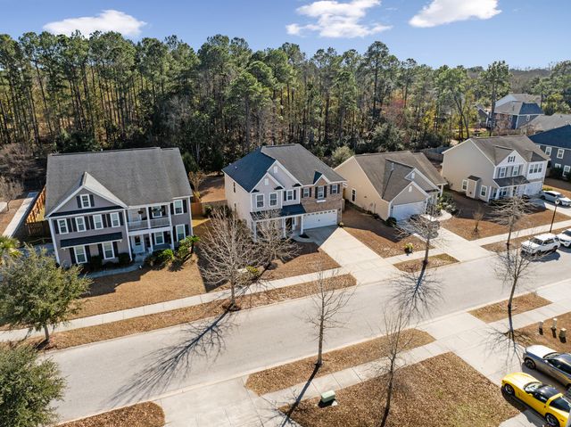 3217 Arrow Arum Drive, Johns Island, SC 29455