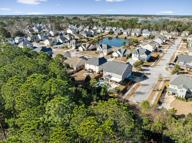 3217 Arrow Arum Drive, Johns Island, SC 29455