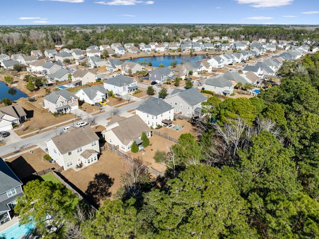 3217 Arrow Arum Drive, Johns Island, SC 29455