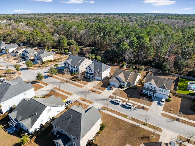 3217 Arrow Arum Drive, Johns Island, SC 29455