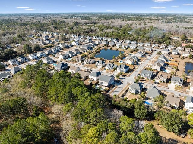 3217 Arrow Arum Drive, Johns Island, SC 29455