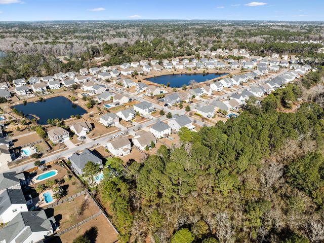 3217 Arrow Arum Drive, Johns Island, SC 29455