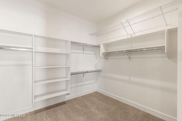 2725 N Megafauna Court, Tucson, AZ 85749